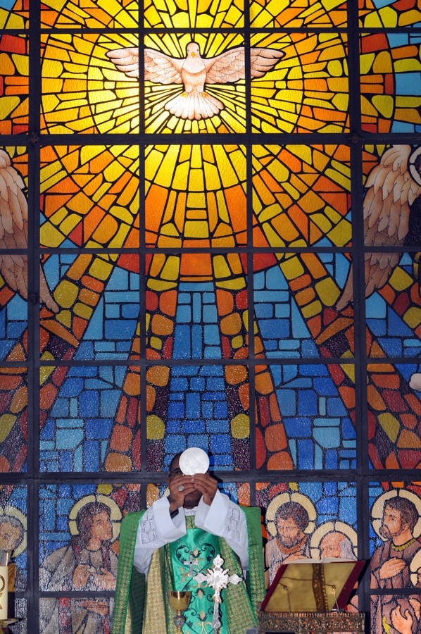 Dom Pedro: “O ventre materno é o lugar do sagrado”