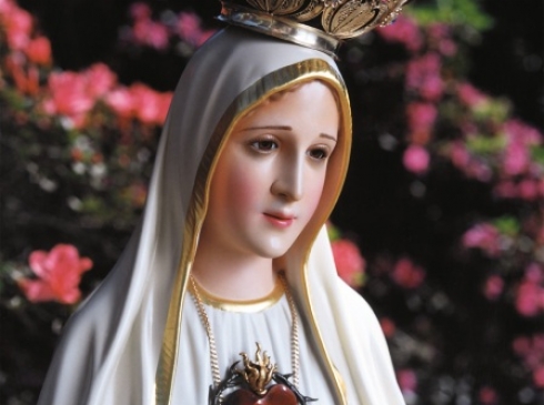 Festa de Nossa Senhora de Fátima: celebrações na Arquidiocese / Arqrio